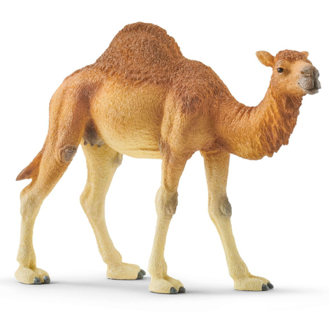 Schleich Wild Life Dromedar