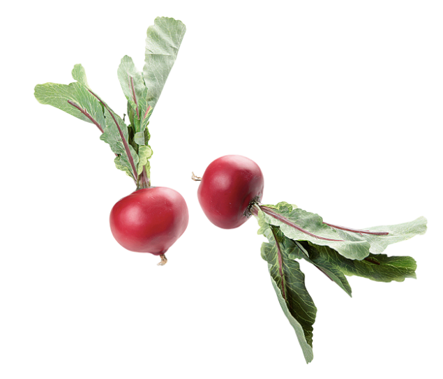Rote Beete Lebensmittel-Attrappe, 2 Stück