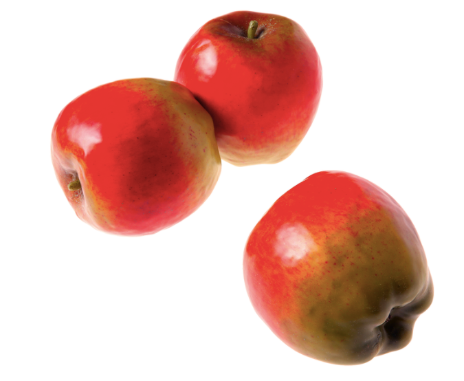 Äpfel Lebensmittel-Attrappen rot, 3 Stück