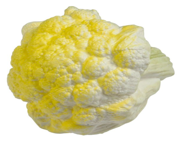 Blumenkohl Lebensmittel-Attrappe